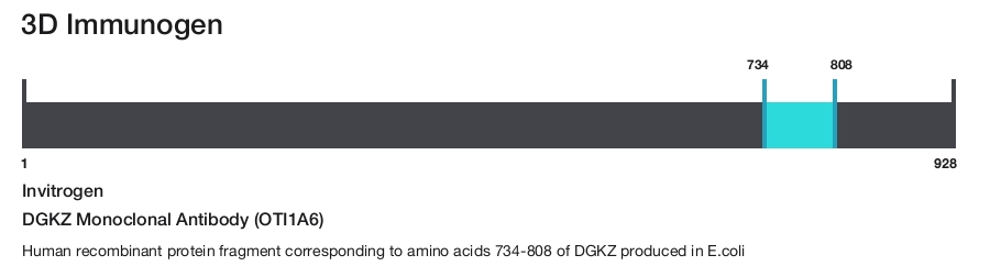 DGKZ Monoclonal Antibody (OTI1A6)