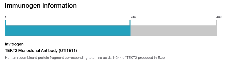 TEKT2 Monoclonal Antibody (OTI1E11)