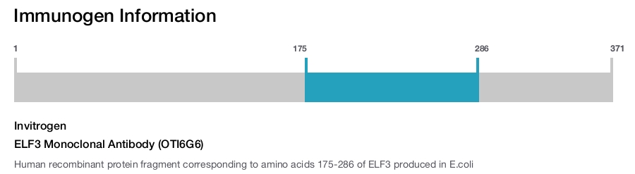 ELF3 Monoclonal Antibody (OTI6G6)