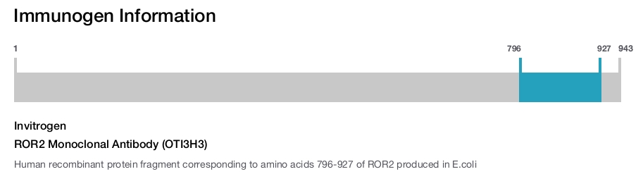 ROR2 Monoclonal Antibody (OTI3H3)