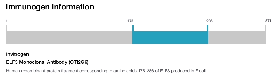 ELF3 Monoclonal Antibody (OTI2G6)