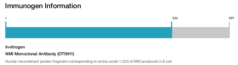 NMI Monoclonal Antibody (OTI5H1)
