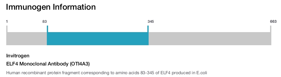 ELF4 Monoclonal Antibody (OTI4A3)
