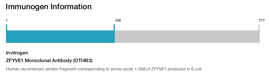 ZFYVE1 Monoclonal Antibody (OTI4B3)