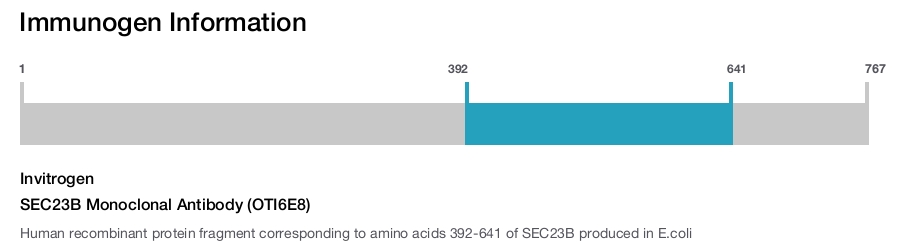 SEC23B Monoclonal Antibody (OTI6E8)