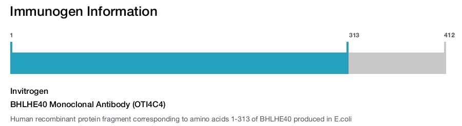 BHLHE40 Monoclonal Antibody (OTI4C4)