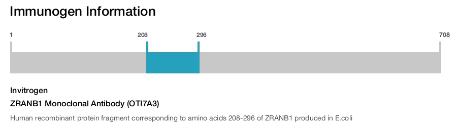 ZRANB1 Monoclonal Antibody (OTI7A3)