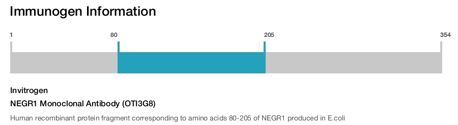 NEGR1 Monoclonal Antibody (OTI3G8)