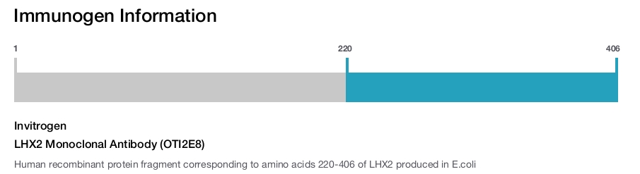 LHX2 Monoclonal Antibody (OTI2E8)
