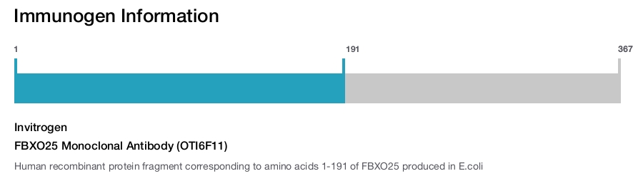 FBXO25 Monoclonal Antibody (OTI6F11)