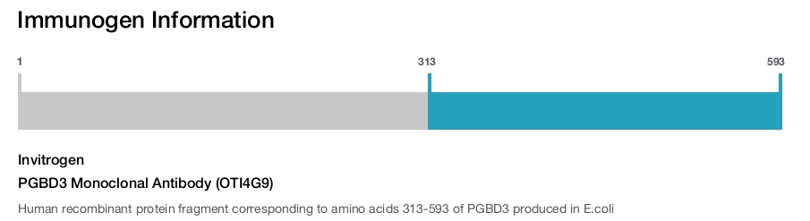 PGBD3 Monoclonal Antibody (OTI4G9)