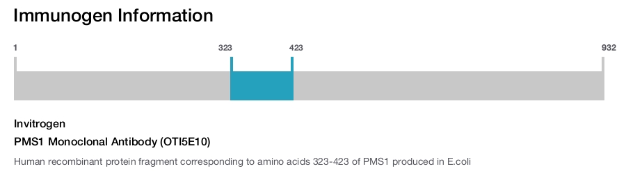 PMS1 Monoclonal Antibody (OTI5E10)