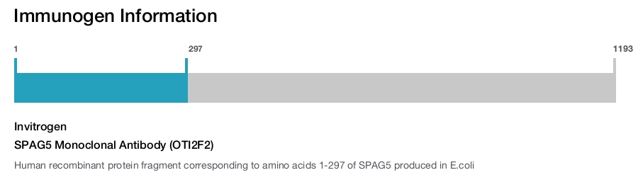 SPAG5 Monoclonal Antibody (OTI2F2)