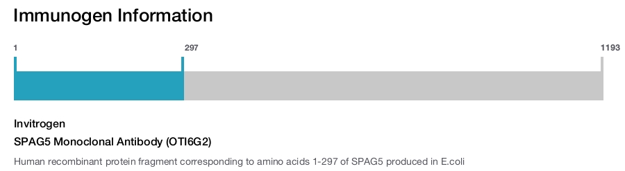 SPAG5 Monoclonal Antibody (OTI6G2)