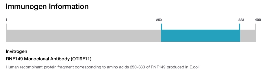 RNF149 Monoclonal Antibody (OTI9F11)