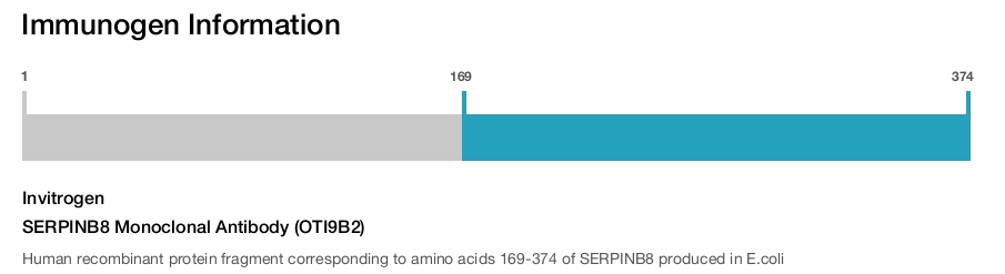 SERPINB8 Monoclonal Antibody (OTI9B2)