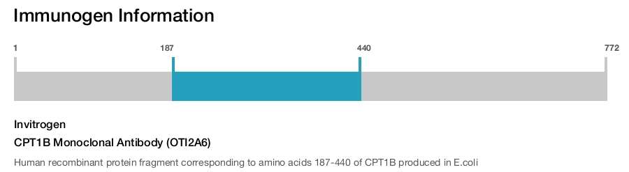 CPT1B Monoclonal Antibody (OTI2A6)