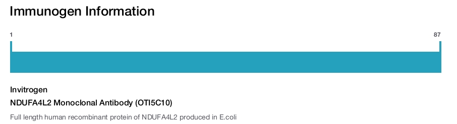 NDUFA4L2 Monoclonal Antibody (OTI5C10)