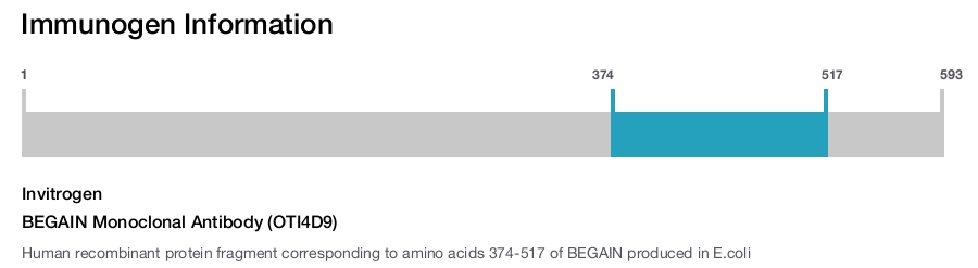 BEGAIN Monoclonal Antibody (OTI4D9)
