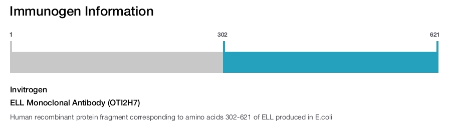 ELL Monoclonal Antibody (OTI2H7)
