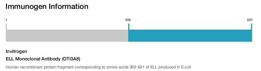 ELL Monoclonal Antibody (OTI3A8)