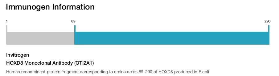 HOXD8 Monoclonal Antibody (OTI2A1)