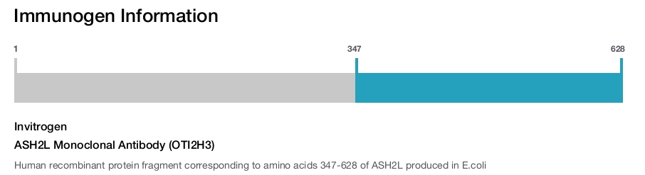 ASH2L Monoclonal Antibody (OTI2H3)