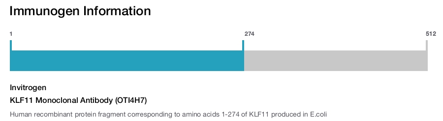 KLF11 Monoclonal Antibody (OTI4H7)
