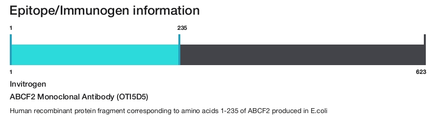 ABCF2 Monoclonal Antibody (OTI5D5)