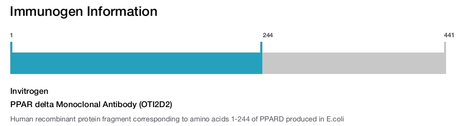 PPAR delta Monoclonal Antibody (OTI2D2)
