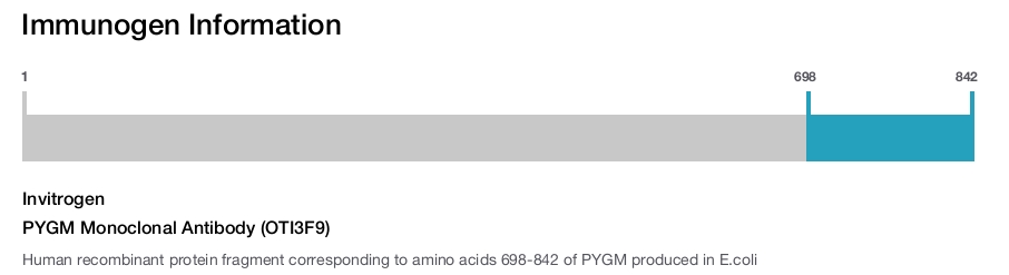 PYGM Monoclonal Antibody (OTI3F9)
