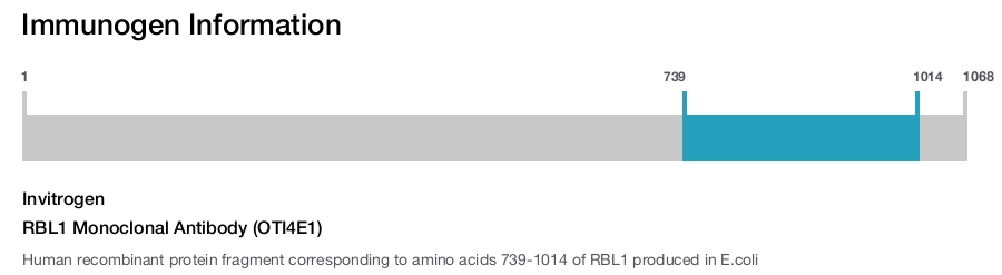 RBL1 Monoclonal Antibody (OTI4E1)