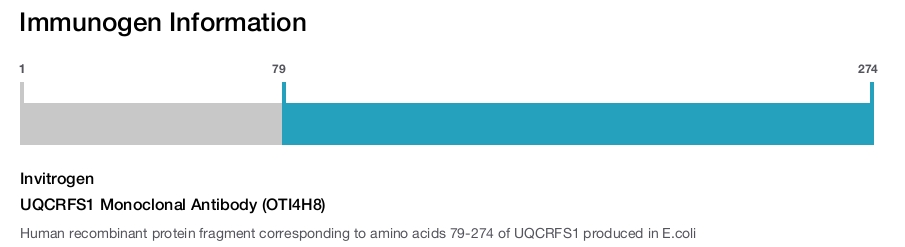 UQCRFS1 Monoclonal Antibody (OTI4H8)