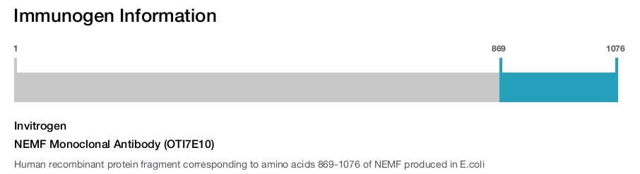 NEMF Monoclonal Antibody (OTI7E10)