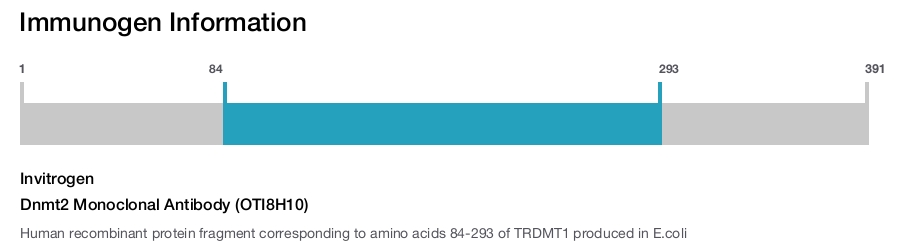 Dnmt2 Monoclonal Antibody (OTI8H10)