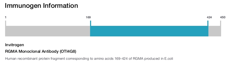 RGMA Monoclonal Antibody (OTI4G8)