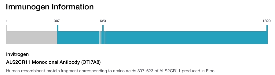 ALS2CR11 Monoclonal Antibody (OTI7A8)