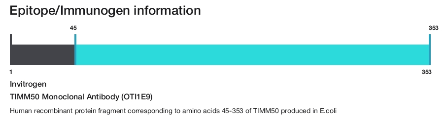TIMM50 Monoclonal Antibody (OTI1E9)