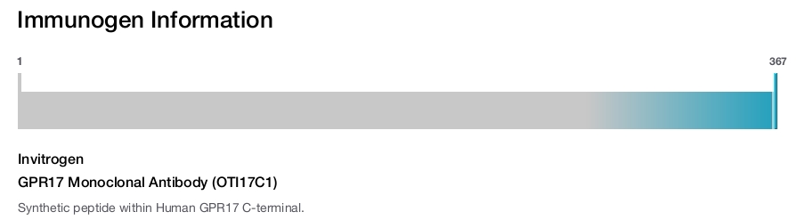 GPR17 Monoclonal Antibody (OTI17C1)