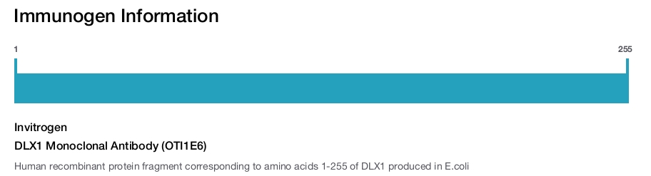 DLX1 Monoclonal Antibody (OTI1E6)