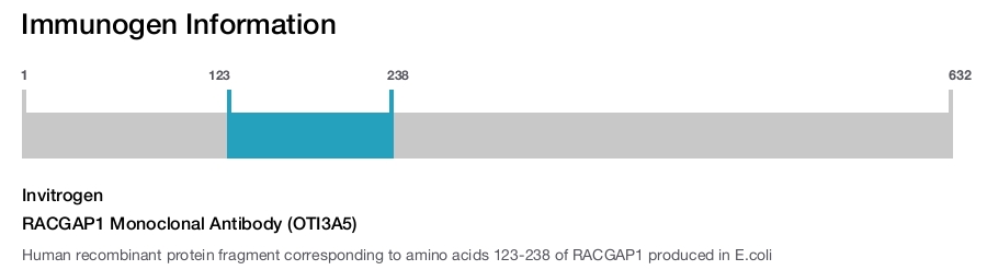 RACGAP1 Monoclonal Antibody (OTI3A5)