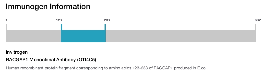 RACGAP1 Monoclonal Antibody (OTI4C5)