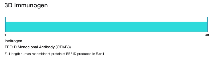 EEF1D Monoclonal Antibody (OTI6B3)