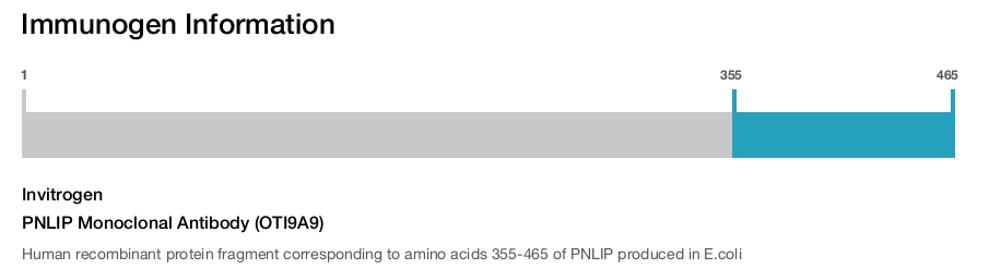 PNLIP Monoclonal Antibody (OTI9A9)
