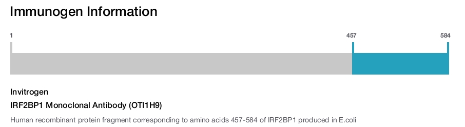 IRF2BP1 Monoclonal Antibody (OTI1H9)