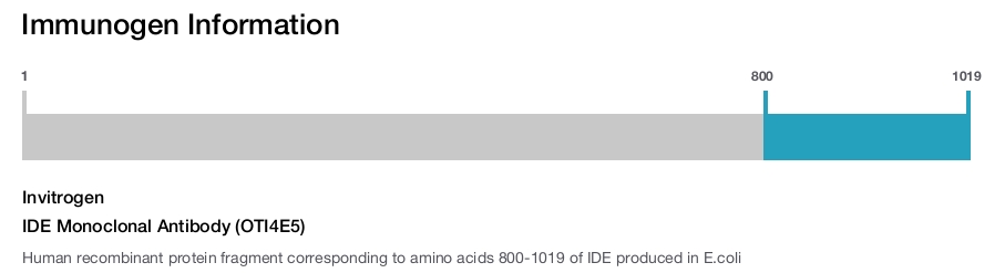 IDE Monoclonal Antibody (OTI4E5)