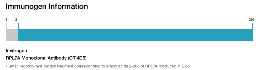 RPL7A Monoclonal Antibody (OTI4D5)
