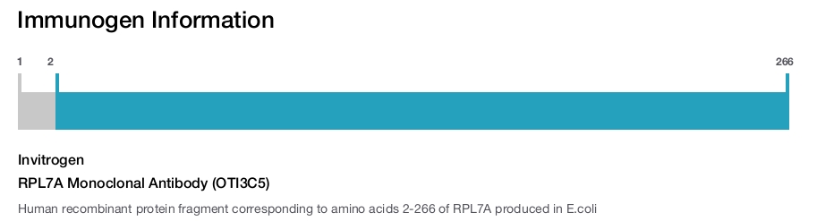 RPL7A Monoclonal Antibody (OTI3C5)