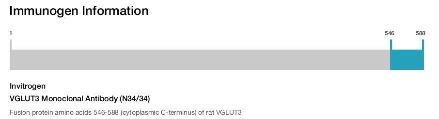 VGLUT3 Monoclonal Antibody (N34/34)