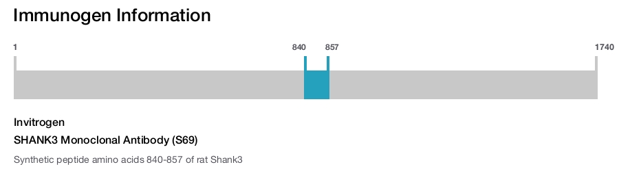 SHANK3 Monoclonal Antibody (S69)